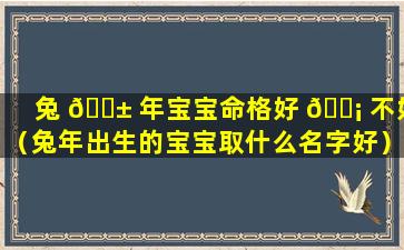 兔 🐱 年宝宝命格好 🐡 不好（兔年出生的宝宝取什么名字好）